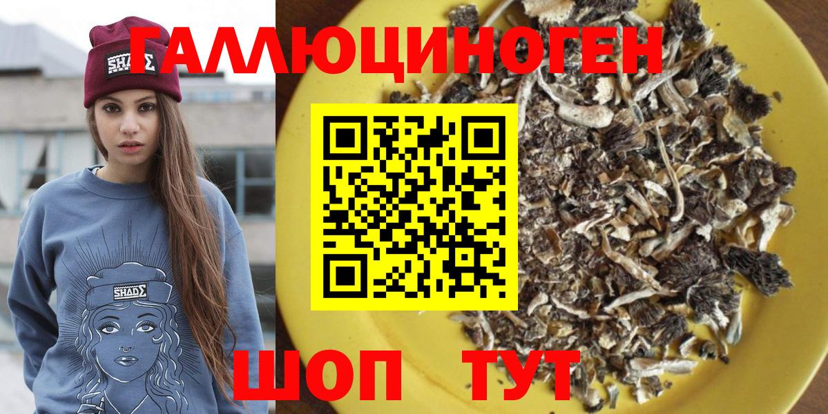 Псилоцибиновые грибы мухоморы Ярославль
