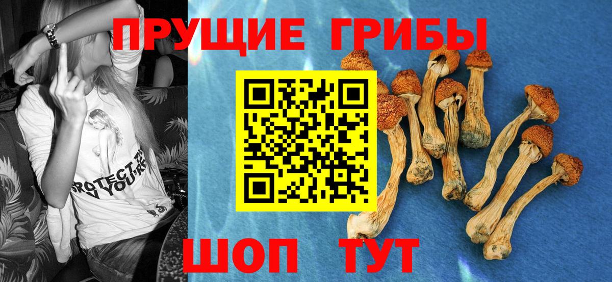 Ярославль  Галлюциногенные грибы Psilocybe  закладка  Вход с VPN 