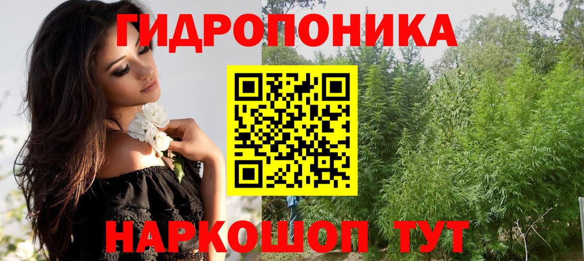 Бошки Шишки индика Ярославль